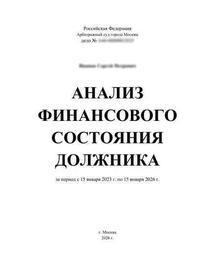 Первая страница: Анализ финансового состояния должника